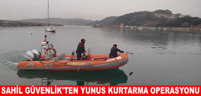 Sahil güvenlikten yunus kurtarma operasyonu