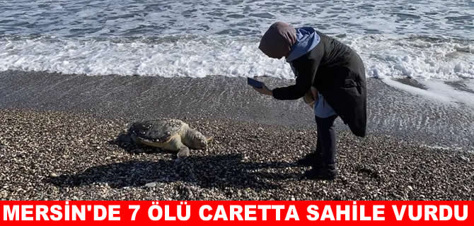 Mersin’de 15 günde 7 ölü caretta sahile vurdu