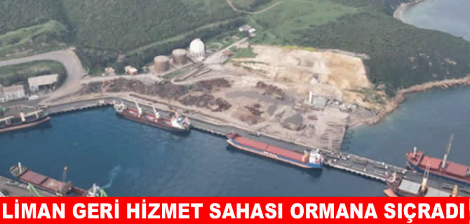 Habaş’ın Liman Geri Hizmet Sahası ormana sıçradı