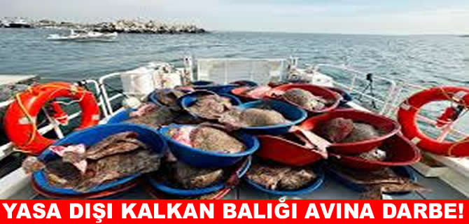 1,8 ton kalkan balığına el konuldu, gemi 1 ay men edildi
