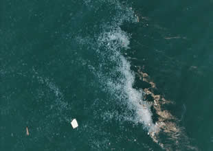 Boğaz’da deniz kirliliği alarmı: Denizanaları yüzeye çıktı