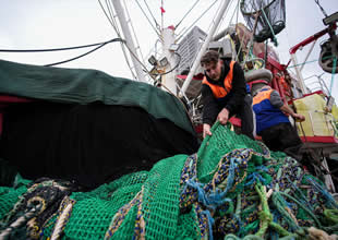 Ege’de hava koşulları balıkçılığı vurdu