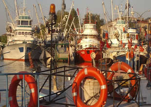 Büyükşehir Ereğli Limanı için ihale açtı