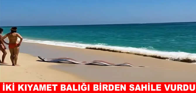 Felaket habercisi iki kıyamet balığı birden sahile vurdu