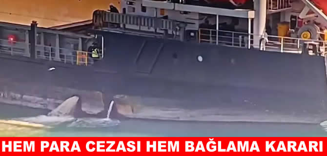 Mersin'de çevreyi kirleten gemiye rekor ceza!