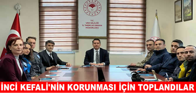 İnci kefalinin korunması için kurumlar bir araya geldi