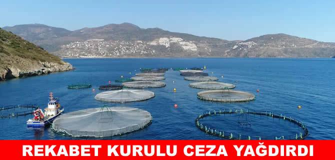 Rekabet Kurulu ceza yağdırdı… Balıkçı uzlaşma istedi