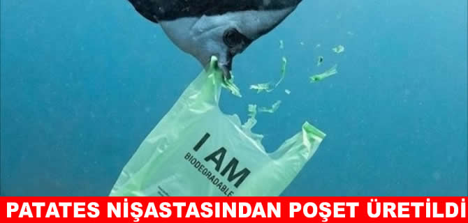 Japonya’da suda eriyen poşetler denizleri kurtaracak