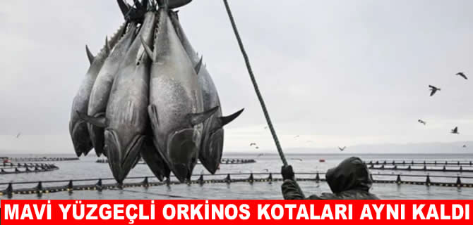 Orkinos avcılığında mevcut sistem devam edecek