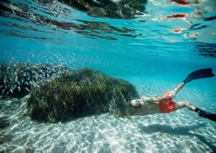 Bodrum'un sualtı hayatı tehlikede!