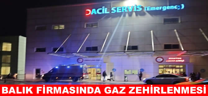 Balık firmasında gaz zehirlenmesi: 15 işçi hastaneye kaldırıldı