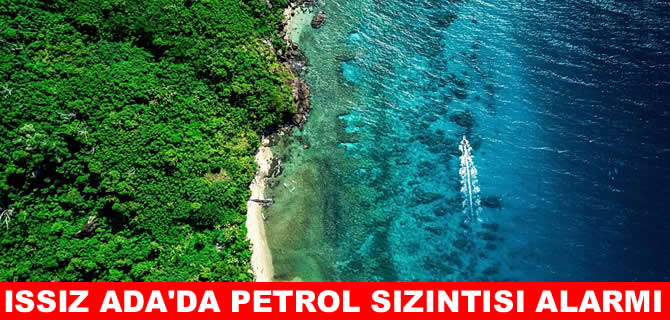 ‘Issız ada'da gemi kazası: Petrol sızıntısı alarmı