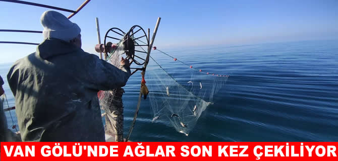 Van Gölü'nde İnci Kefali için ağlar son kez çekiliyor