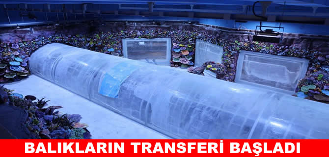 Kocaeli akvaryumu için geri sayım başladı