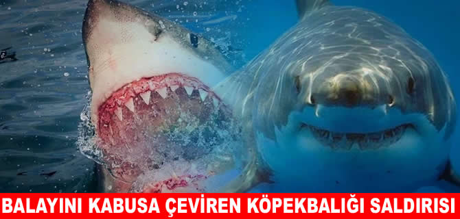 Köpek balığı dehşeti! Balayı kabusa döndü