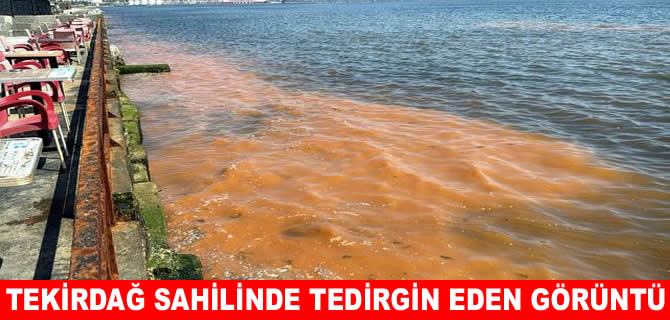 Tekirdağ sahilinde korkutan görüntü! Uzmanlardan açıklama var