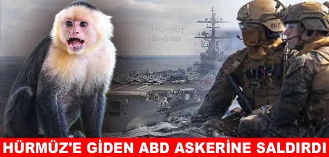 Bak şu maymunun yaptığına! ABD Donanması'ndaki askere saldırdı