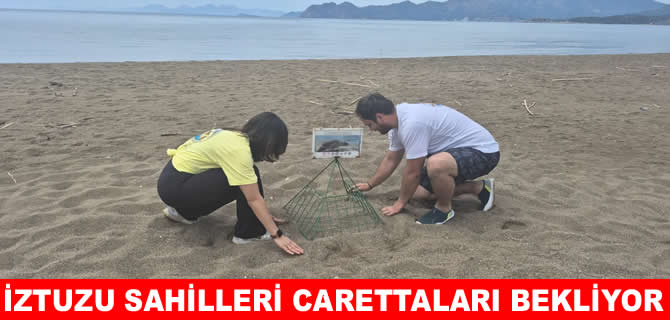 İztuzu kumsalı caretta carettaları bekliyor