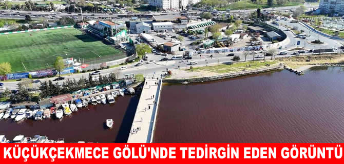 Küçükçekmece Gölü'nde tedirgin eden görüntü