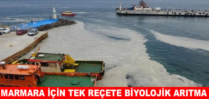 Bayram Öztürk: Marmara Denizi ölü değil ama ağır hasta