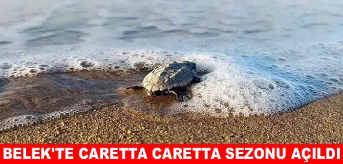 Antalya'da caretta caretta sezonu açıldı: İlk yuva “KY-1” oldu