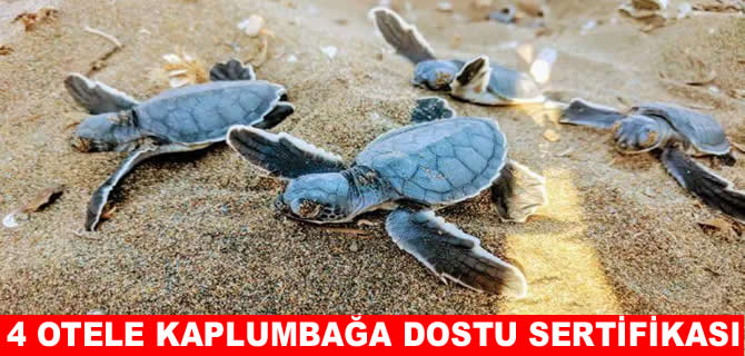 Türkiye'den 4 otele 'Kaplumbağa Dostu' sertifikası