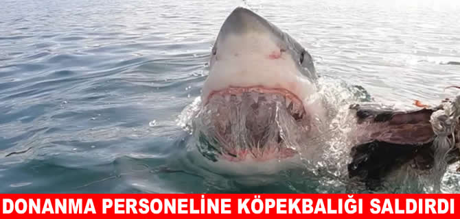 Denize giren donanma personeline köpekbalığı saldırdı