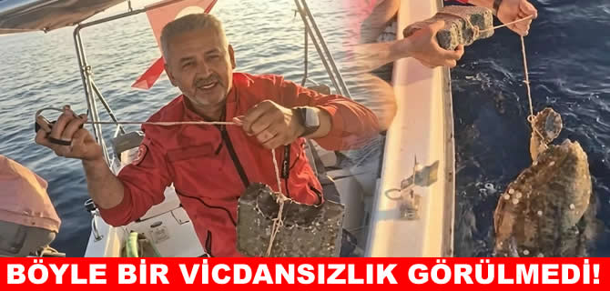 Kaplumbağanın ayağına kaldırım taşı bağlayıp denize atmışlar