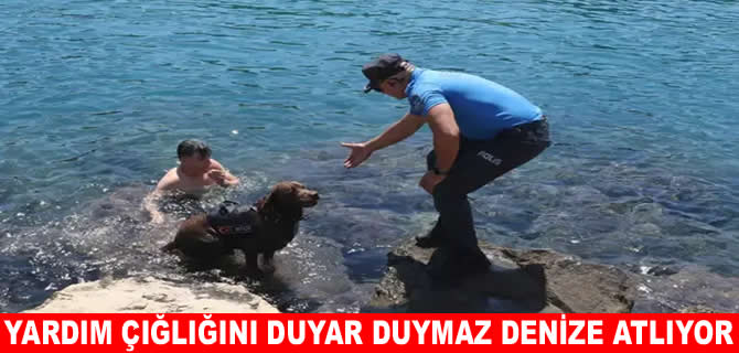 Antalya deniz polisinin maskotu Miço boğulmaları önlüyor