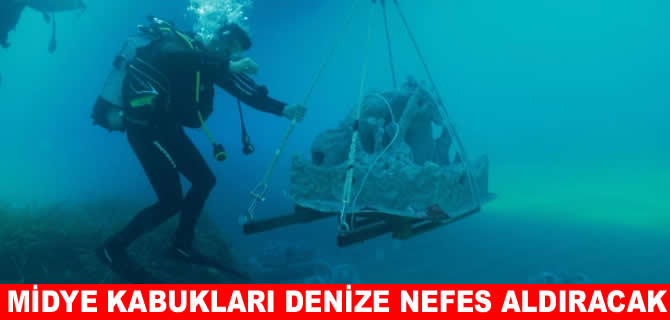 İzmir'de midye kabukları deniz yaşamına nefes olacak