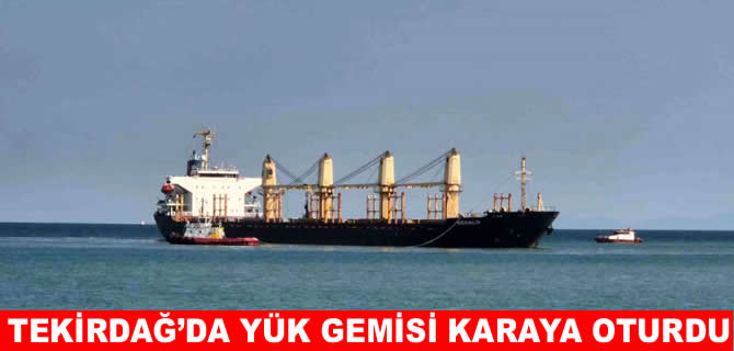 Tekirdağ açıklarında yük gemisi karaya oturdu