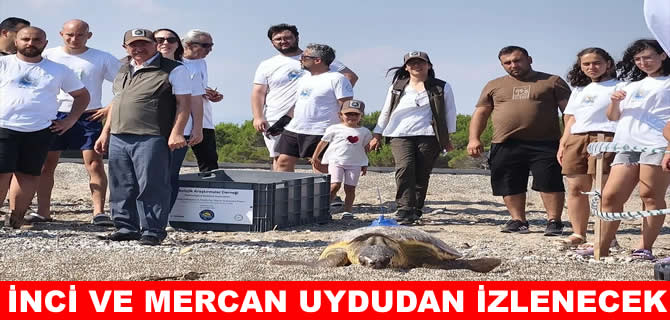 Antalya’da İnci ile Mercan törenle denize uğurlandı