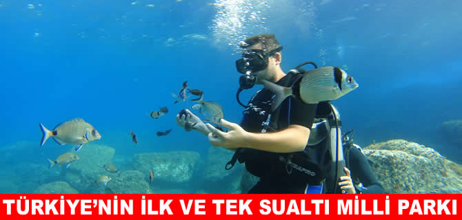 Türkiye’nin ilk ve tek milli sualtı milli parkı Gökçeda’da