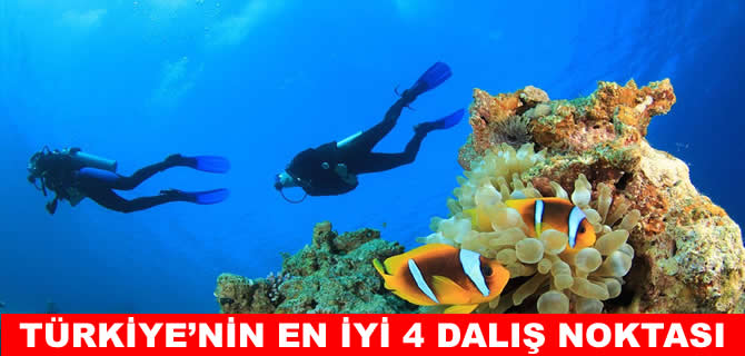 Türkiye’nin en iyi 4 dalış noktası
