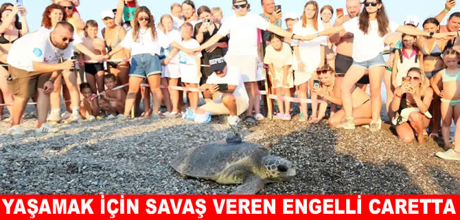 Engelli carettanın denizdeki sırrı uyduyla çözülecek