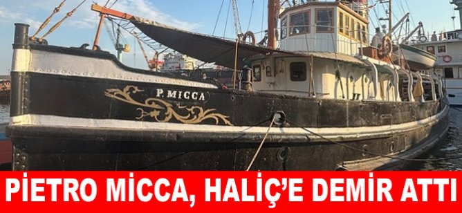 Pietro Micca, Haliç'e demir attı