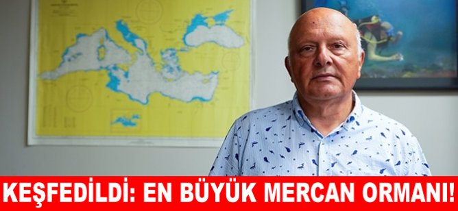 Keşfedildi: En büyük Mercan Ormanı!