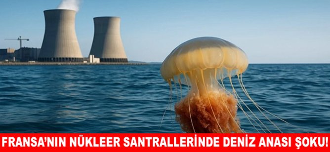 Fransa’nın nükleer santrallerinde deniz anası şoku!