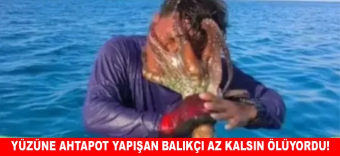 Yüzüne ahtapot yapışan balıkçı az kalsın ölüyordu!