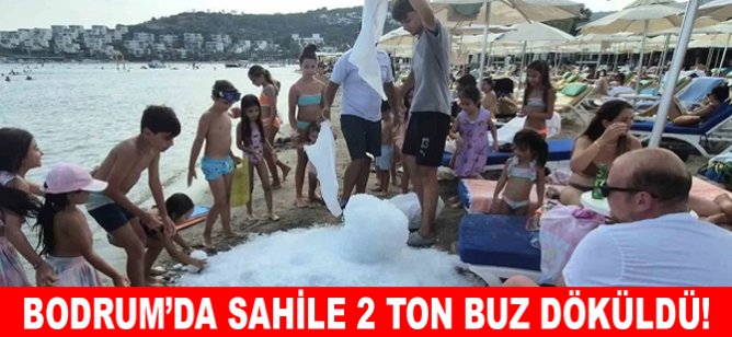 Bodrum'da sahile 2 ton buz döküldü!