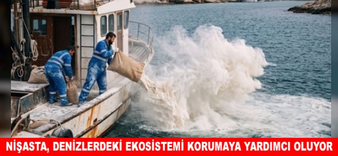Nişasta, denizlerdeki ekosistemi korumaya yardımcı oluyor