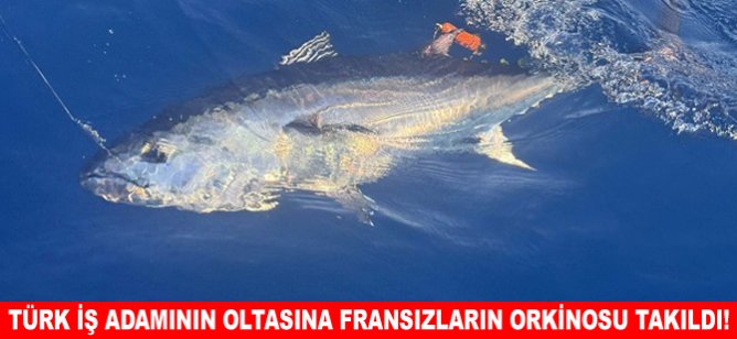Türk iş adamının oltasına Fransızların orkinosu takıldı!
