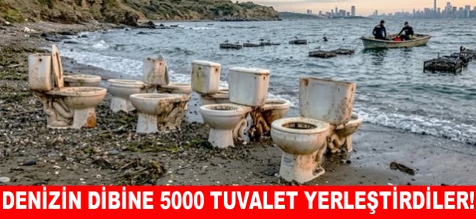 Denizin dibine 5000 tuvalet yerleştirdiler!