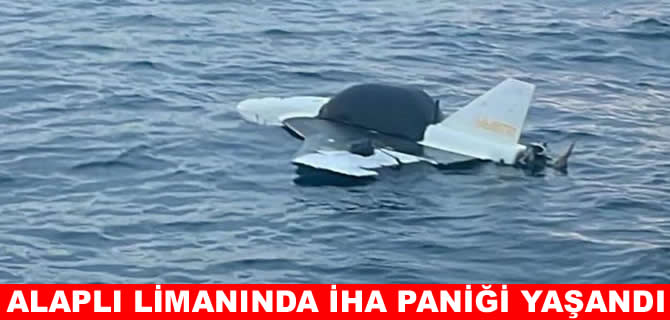 Zonguldak Alaplı Limanı'nda İHA paniği!