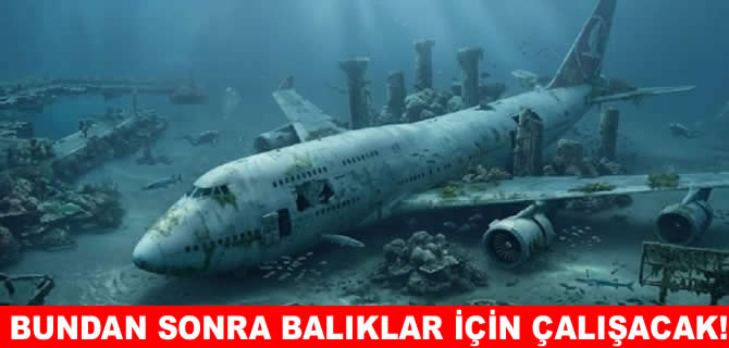 Boeing 747 balıklar için denizin dibine indi