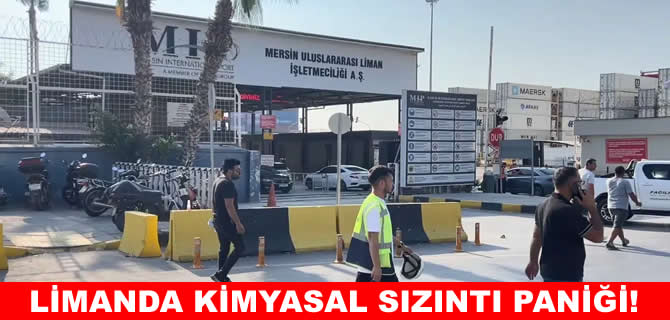 Mersin Limanı'nda sızıntı paniği: Çok sayıda işçi hastaneye kaldırıldı