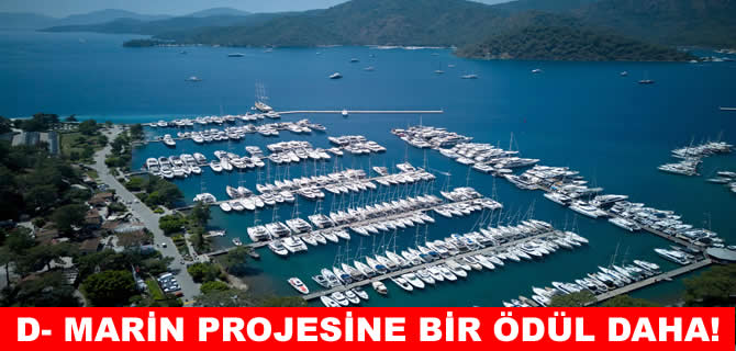 D-Marin’nin Biohuts Projesi’ne bir ödül daha!
