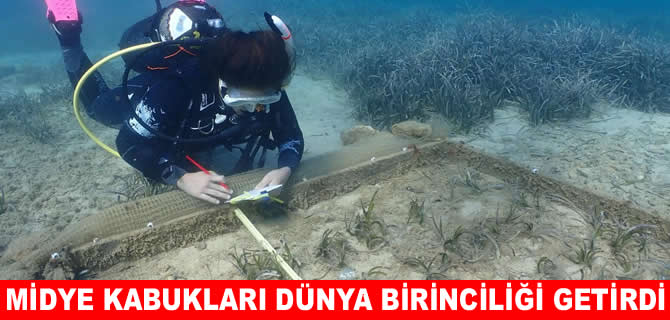İzmirli tasarımcı midye kabuklarını yapay resife dönüştürdü
