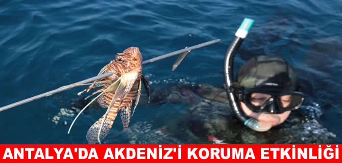 Antalya’da istilacı aslan balığı avlama yarışması