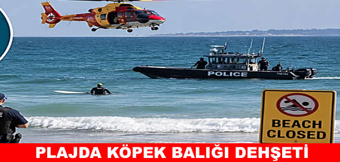 Köpek balığı saldırısına uğrayan bir sörfçü yaşamını yitirdi